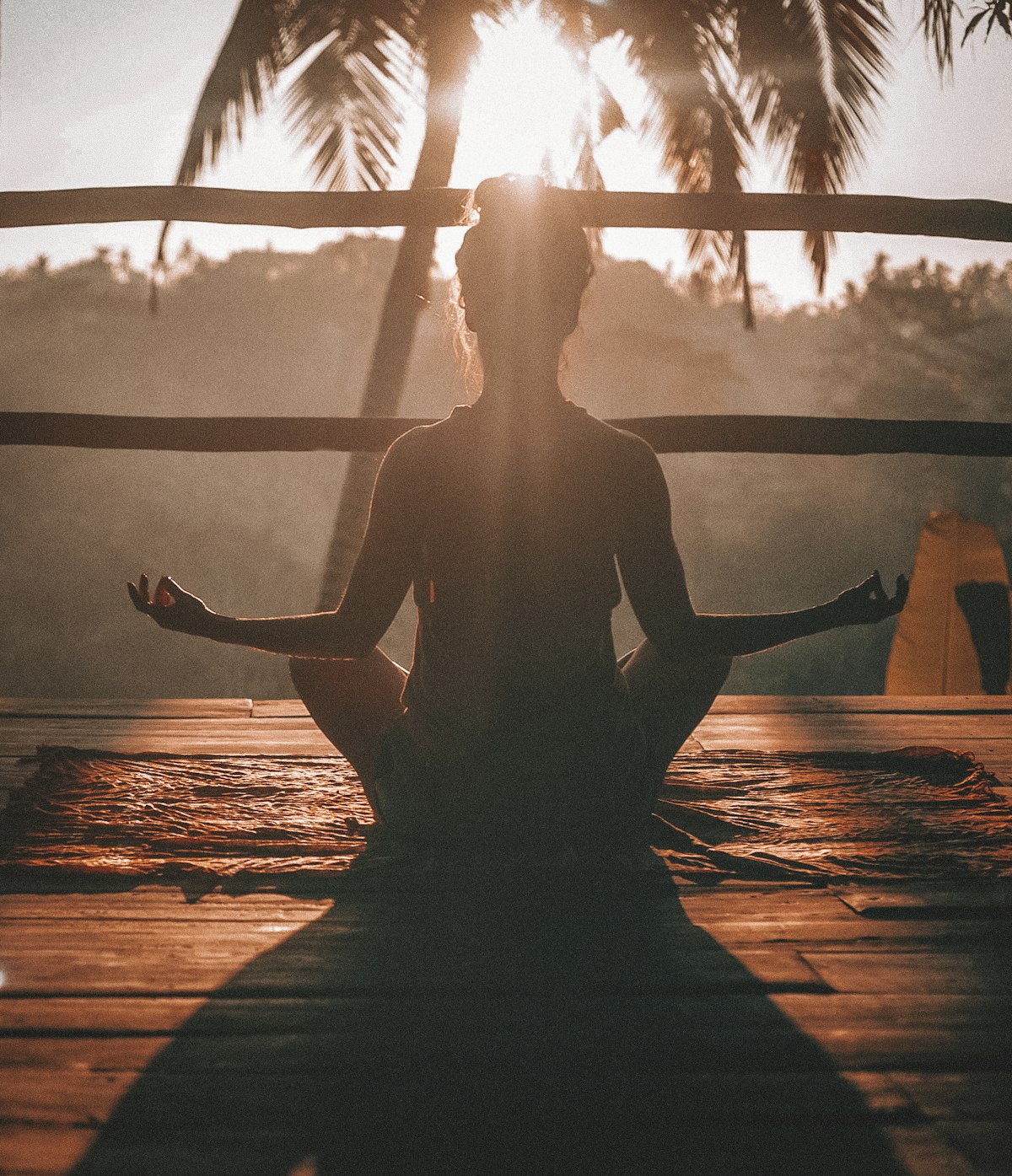 The Neurobiology of Mindfulness: How Meditation Rewires the Amygdala and Prefrontal Cortex
