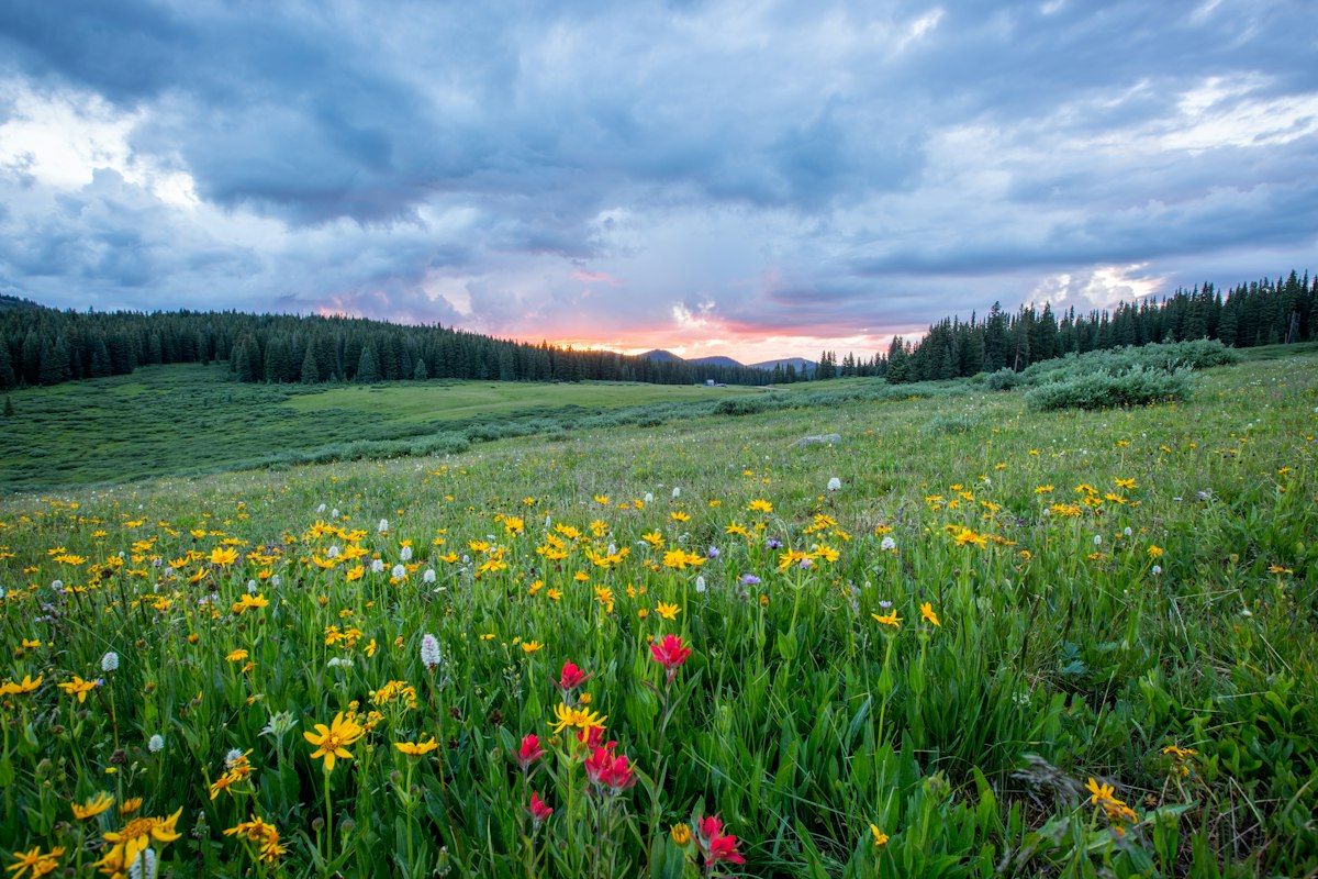 Morning Sunlight and Circadian Neurotransmitters: Serotonin, Dopamine, and Sleep Quality